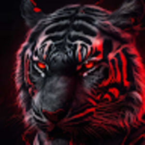 Meet your Posher, Eli